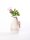 Mini Flaschenvase *GEBURTSTAGSBLÜMCHEN* von Good old friends